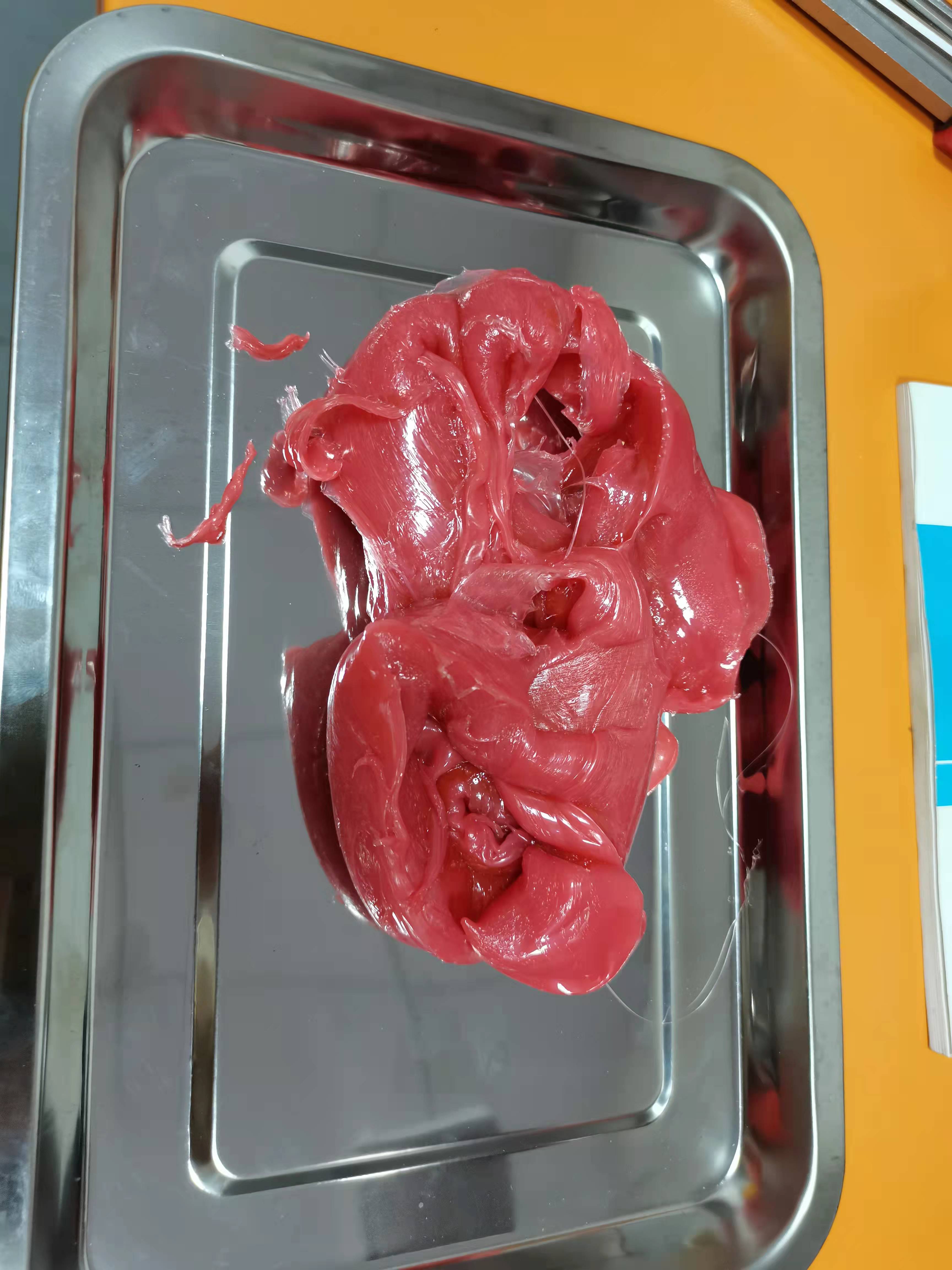 開合式密煉機(jī)橡膠塑料袋混煉